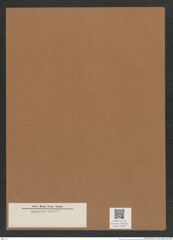 Diatomeae indet. Zeichnungen Sammlung Grunow Mappe 04969 (Herbarium_W_Grunow_drawings_Folder_04969)
